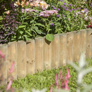 Border Fence